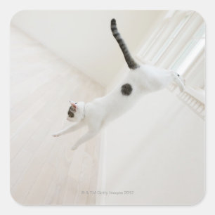 Katzensprung Quadratischer Aufkleber