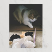 Katzenstofftier-Spielzeit-Postkarte