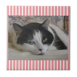 Katzenstreifen Keramik Tile Fliese