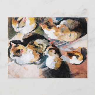 Katzenstudien (Studie einer Katze) 1909 Feiertagspostkarte