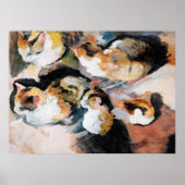 Katzenstudien (Studie einer Katze) 1909 Poster (Vorne)