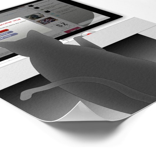 Katzensurfen-2011 Poster (Ecke)