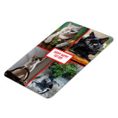 Katzentag magnet (Linke Seite)