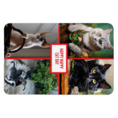 Katzentag magnet (Horizontal)