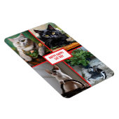 Katzentag magnet (Rechte Seite)