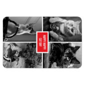 Katzentag schwarz weiß rot  magnet (Horizontal)