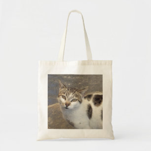 Katzentasche - wählen Sie Art u. Farbe Tragetasche