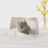Kätzentherapie Kätzchen denken an Ihre Karte (Gelbe Blume)