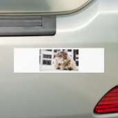 Katzentief im Denken Autoaufkleber (Auf Auto)