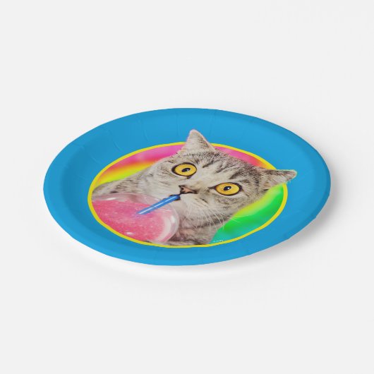 Katzentränke Pappteller (Schrägansicht)