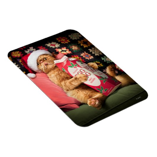 Katzentrinkeier Magnet (Rechte Seite)