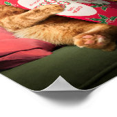 Katzentrinkeier Poster (Ecke)