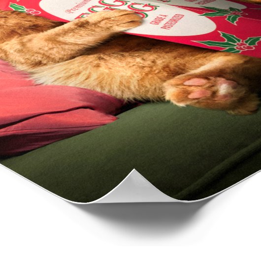 Katzentrinkeier Poster (Ecke)