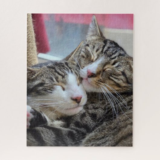 Katzenumarmungen! Puzzle (Vertikal)