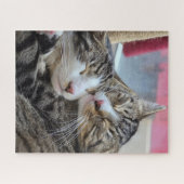 Katzenumarmungen! Puzzle (Horizontal)
