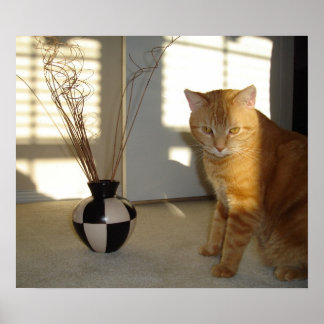 Katzenvase Poster