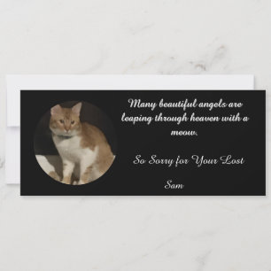 Katzenverlust-Zitate, um die Erinnerung an Sympath