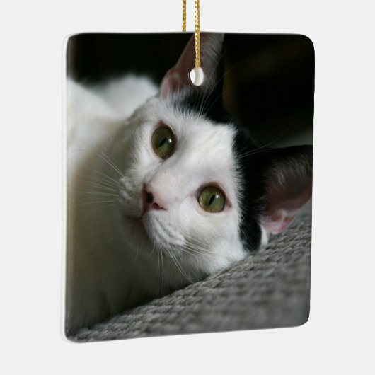 Katzenverzierung Keramikornament (Rechts)