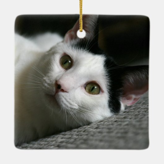 Katzenverzierung Keramikornament (Rückseite)