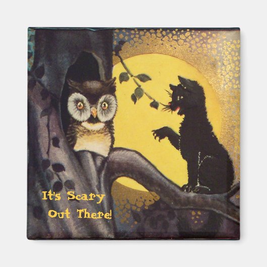 Katzenwarnung Eule Halloween Magnet (Vorne)
