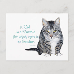 Katzenweisheit - eine Katze ist ein Rätsel Postkarte