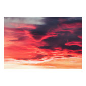 Katzenwelle Fotodruck (Vorne)