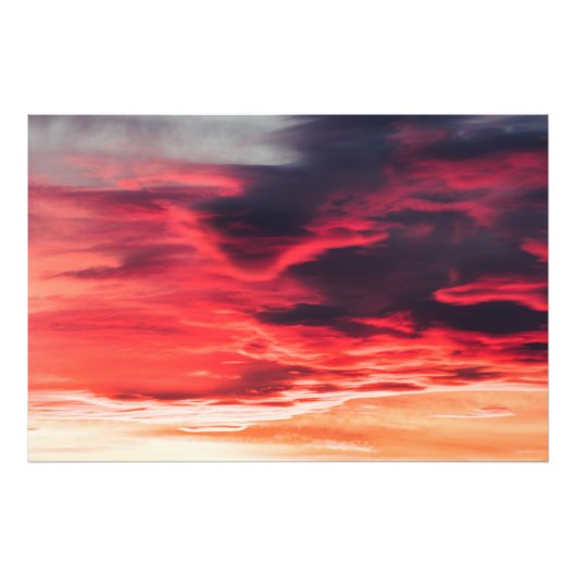 Katzenwelle Fotodruck (Vorne)