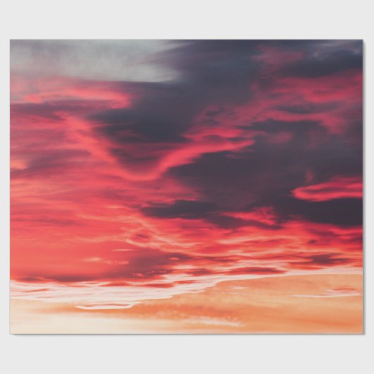 Katzenwelle Geschenkpapier (Flach)