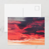 Katzenwelle Postkarte (Vorne/Hinten)