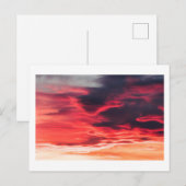 Katzenwelle Postkarte (Vorne/Hinten)