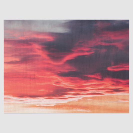 Katzenwelle Seidenpapier (Vorderseite)