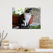 Katzenwelschrei Poster (Küche)