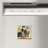 Katzenwickel Magnet (In Situ (Geschirrspüler))