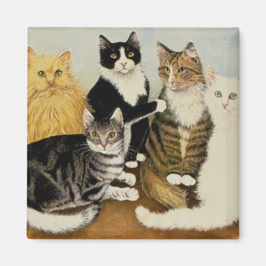 Katzenwickel Magnet (Vorne)