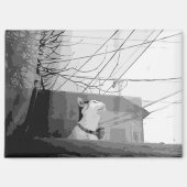 Katzenwickel Magnet (Vorderseite)