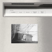 Katzenwickel Magnet (In Situ (Geschirrspüler))