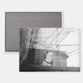 Katzenwickel Magnet (Vorderseite/Rückseite)