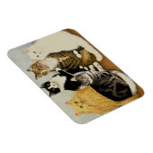 Katzenwickel Magnet (Rechte Seite)