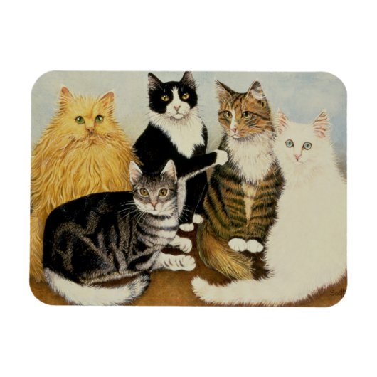Katzenwickel Magnet (Horizontal)