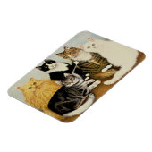 Katzenwickel Magnet (Linke Seite)