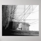 Katzenwickel Poster (Vorne)