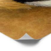 Katzenwickel Poster (Ecke)