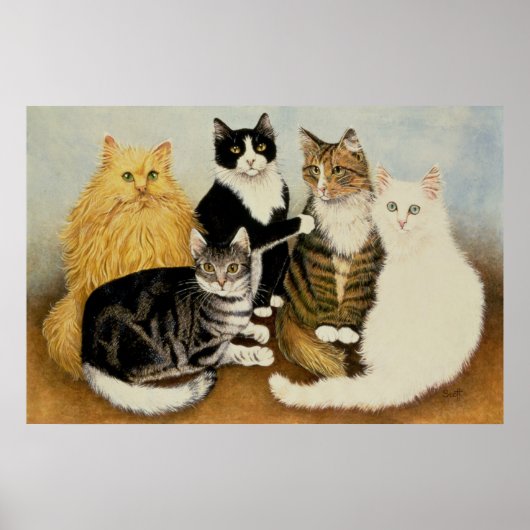 Katzenwickel Poster (Vorne)