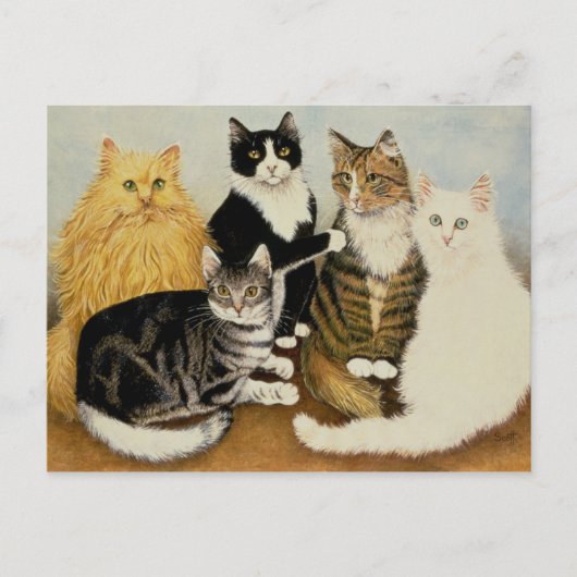 Katzenwickel Postkarte (Vorderseite)