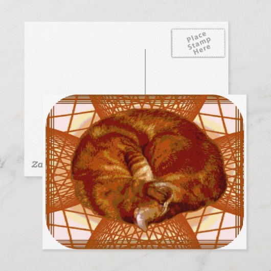 Katzenwickel Postkarte (Vorne/Hinten)