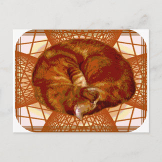 Katzenwickel Postkarte