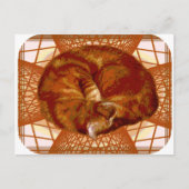Katzenwickel Postkarte (Vorderseite)