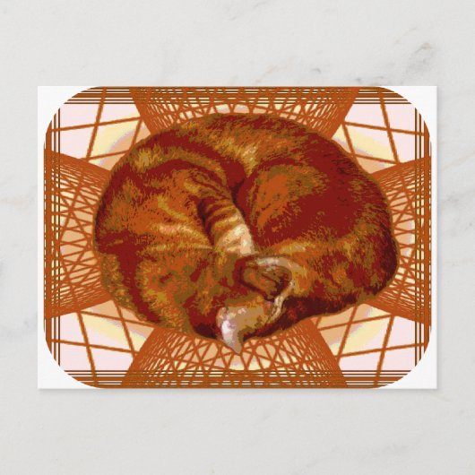 Katzenwickel Postkarte (Vorderseite)