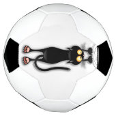 Katzenwitterungsstoff Fußball (Gedreht)