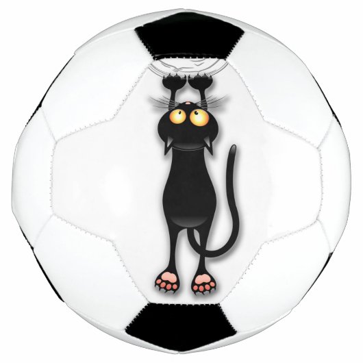 Katzenwitterungsstoff Fußball (Vorderseite)